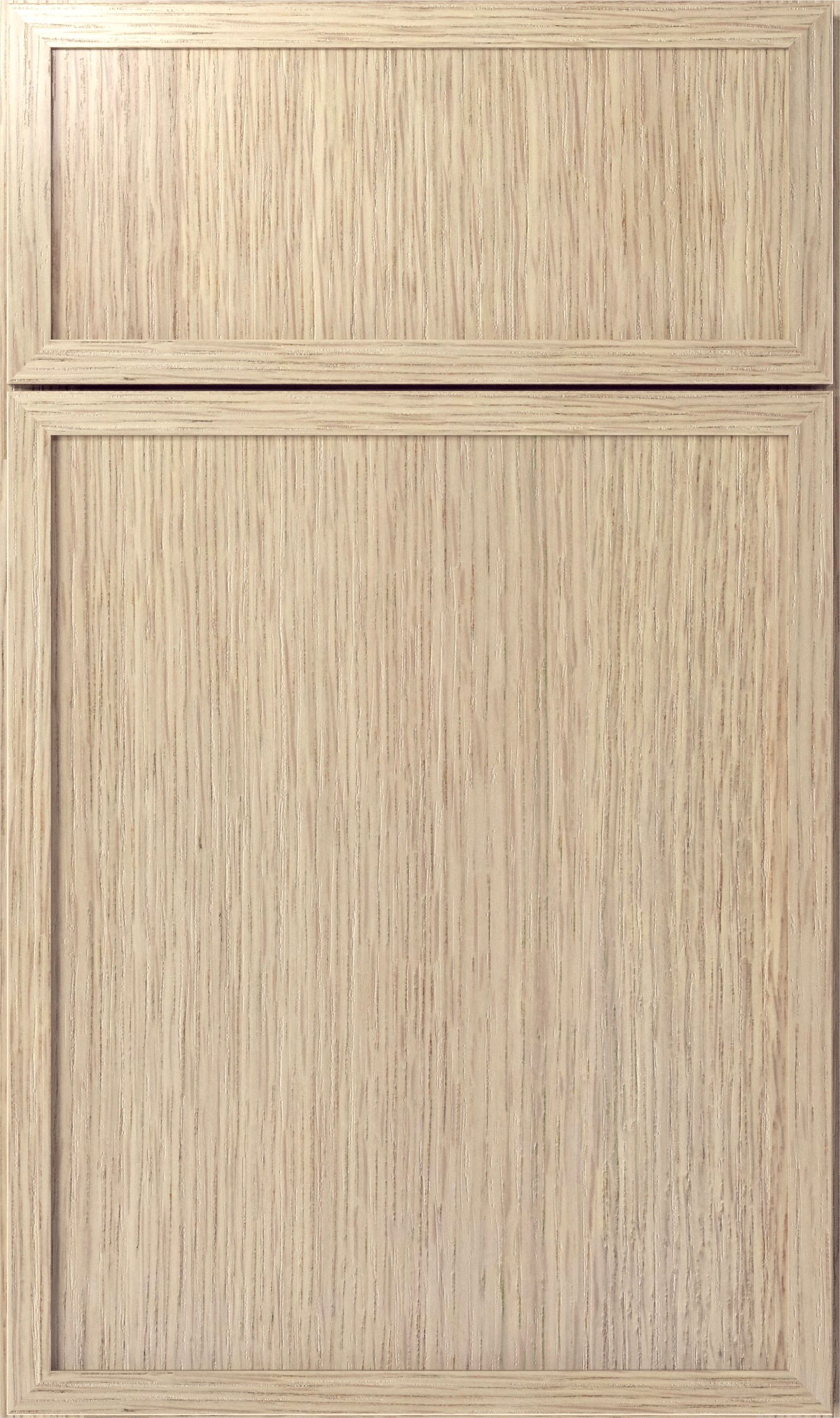 Desert Oak, close-up