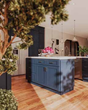 Navy Blue in a real kitchen